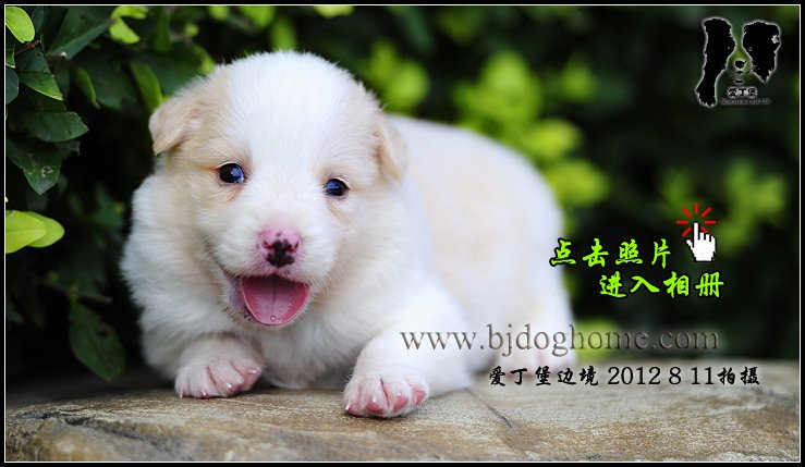 /yq_jijin.asp?pid=2179&cid=526&parentid=119