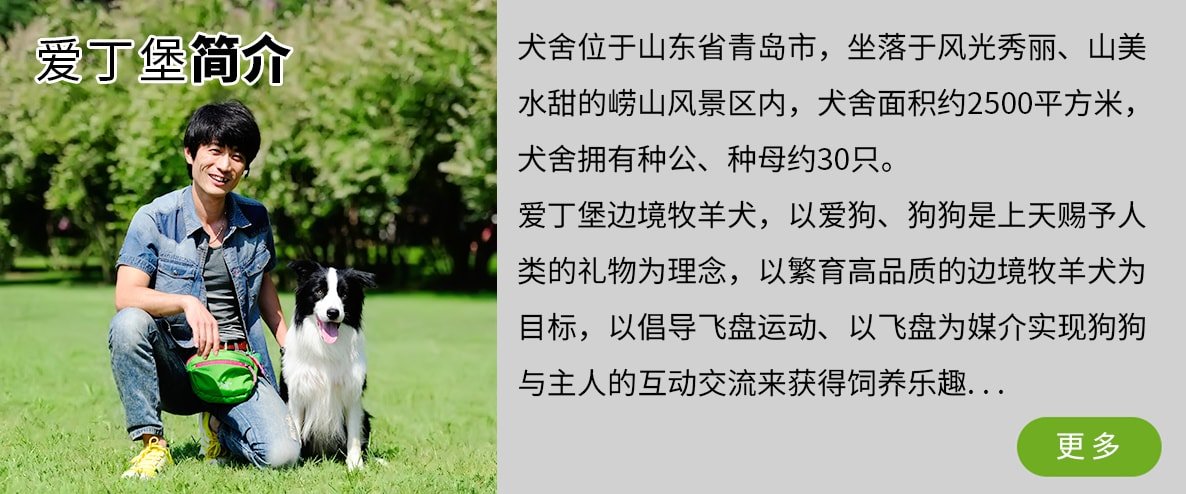 1简介