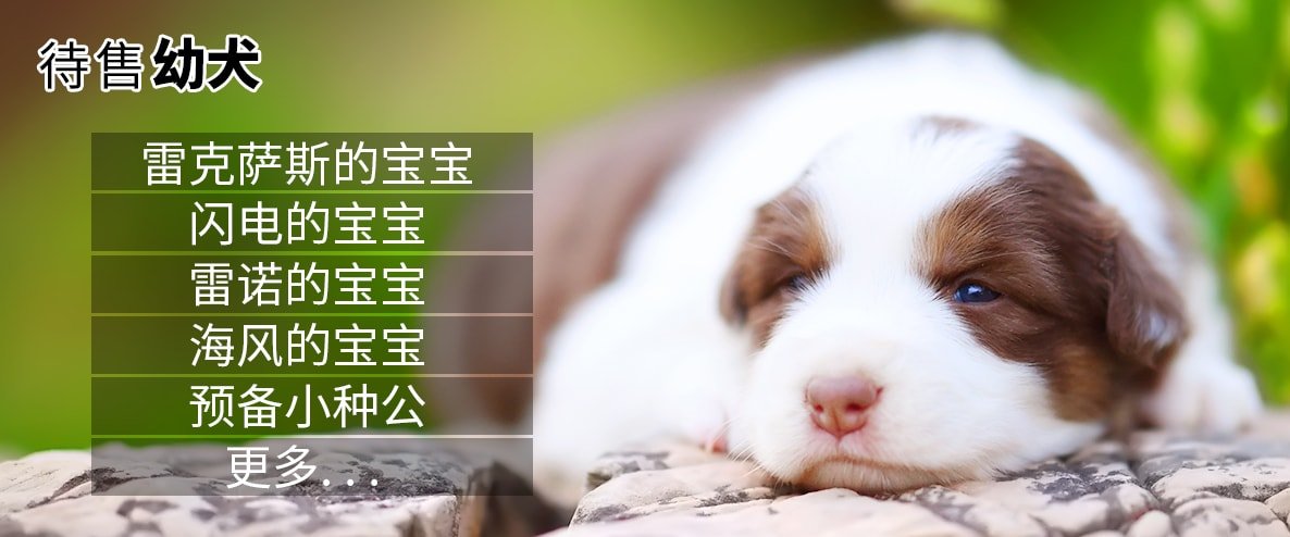 3待售