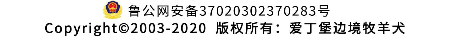 手机版版图