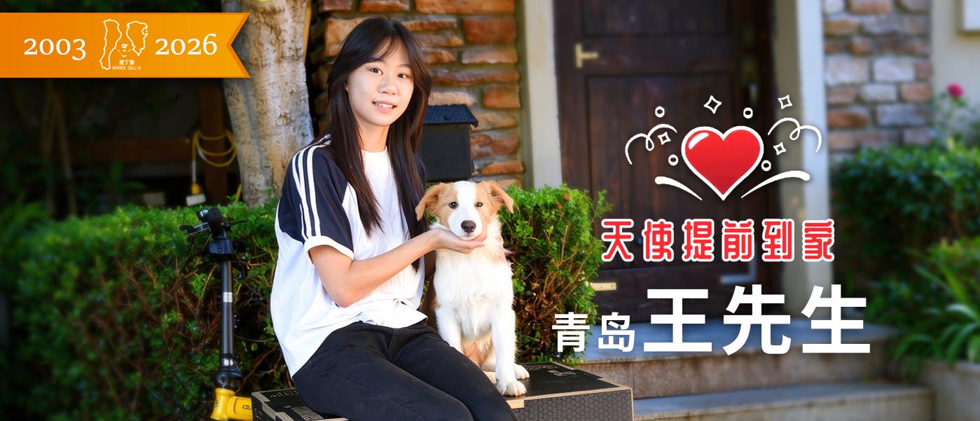 调试使用请忽略