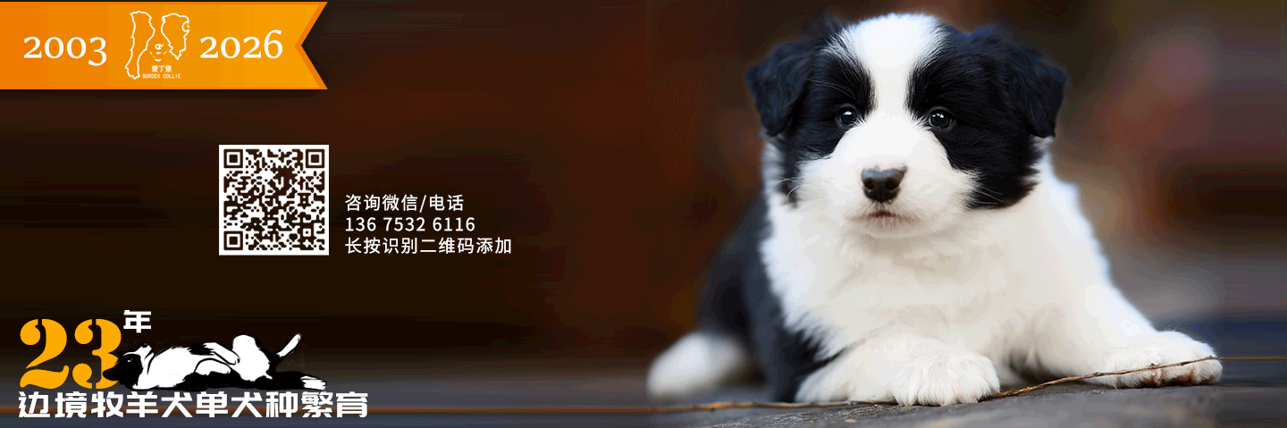 程序测试