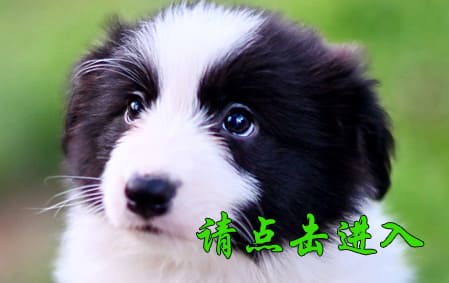妖妖 公F1