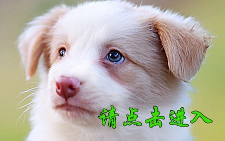 妖妖 公F2