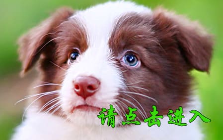 妖妖 母F1